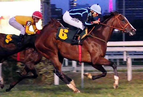 Zarapost12