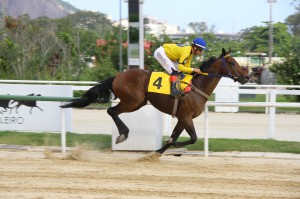 Diligente Chegada (3)