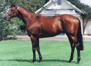 Horse_Royal_Academy-_2big