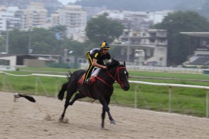 IMG_4088
