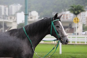IMG_4114