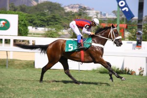 Estrella Chegada 3