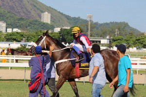 IMG_9768 (FILEminimizer)