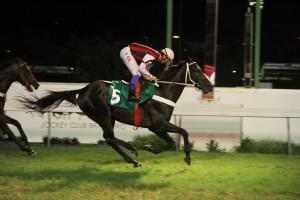 CampeonISSIMO Chegada (5)