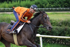 IMG_1333 (FILEminimizer)