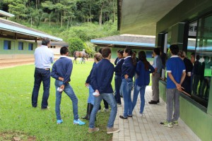 IMG_1515 (FILEminimizer)
