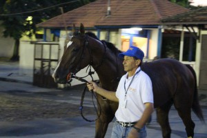 IMG_3028 (FILEminimizer)