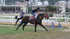 wp_ss_20160311_0004