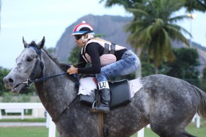 MATINAIS (38)