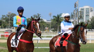 ept prova (11)