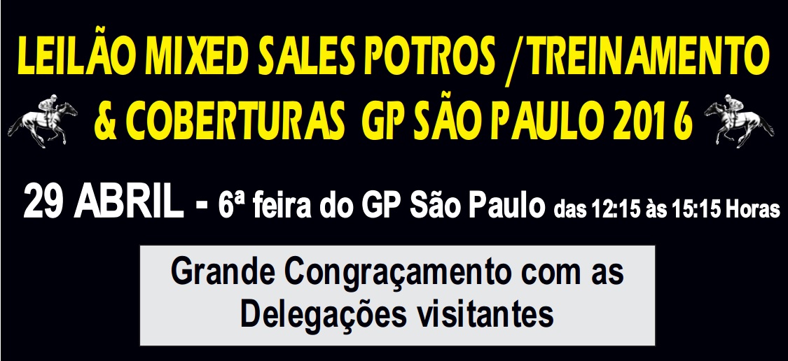 leilao
