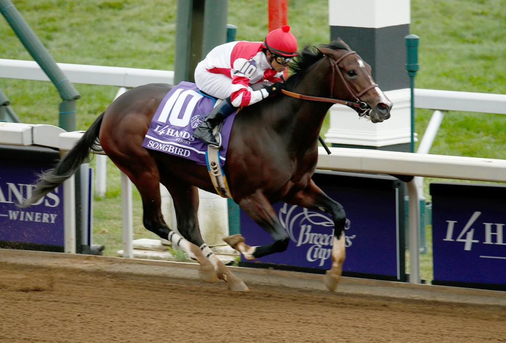 songbird10-31,2
