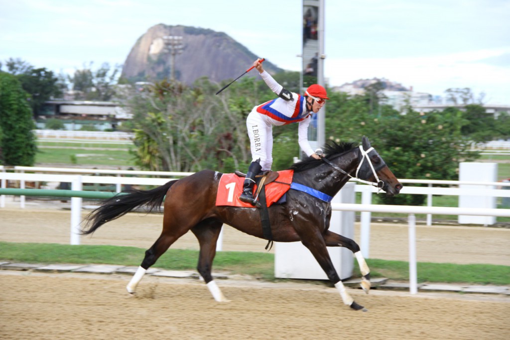 Cayman Bank Chegada (4)
