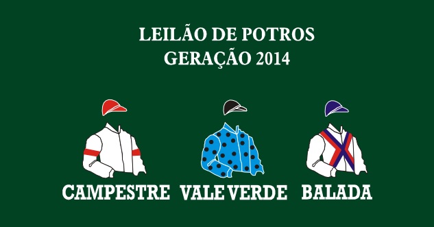 leilao