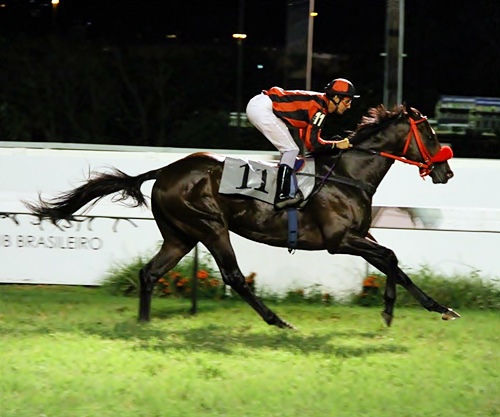 Caballo de Hierro post09