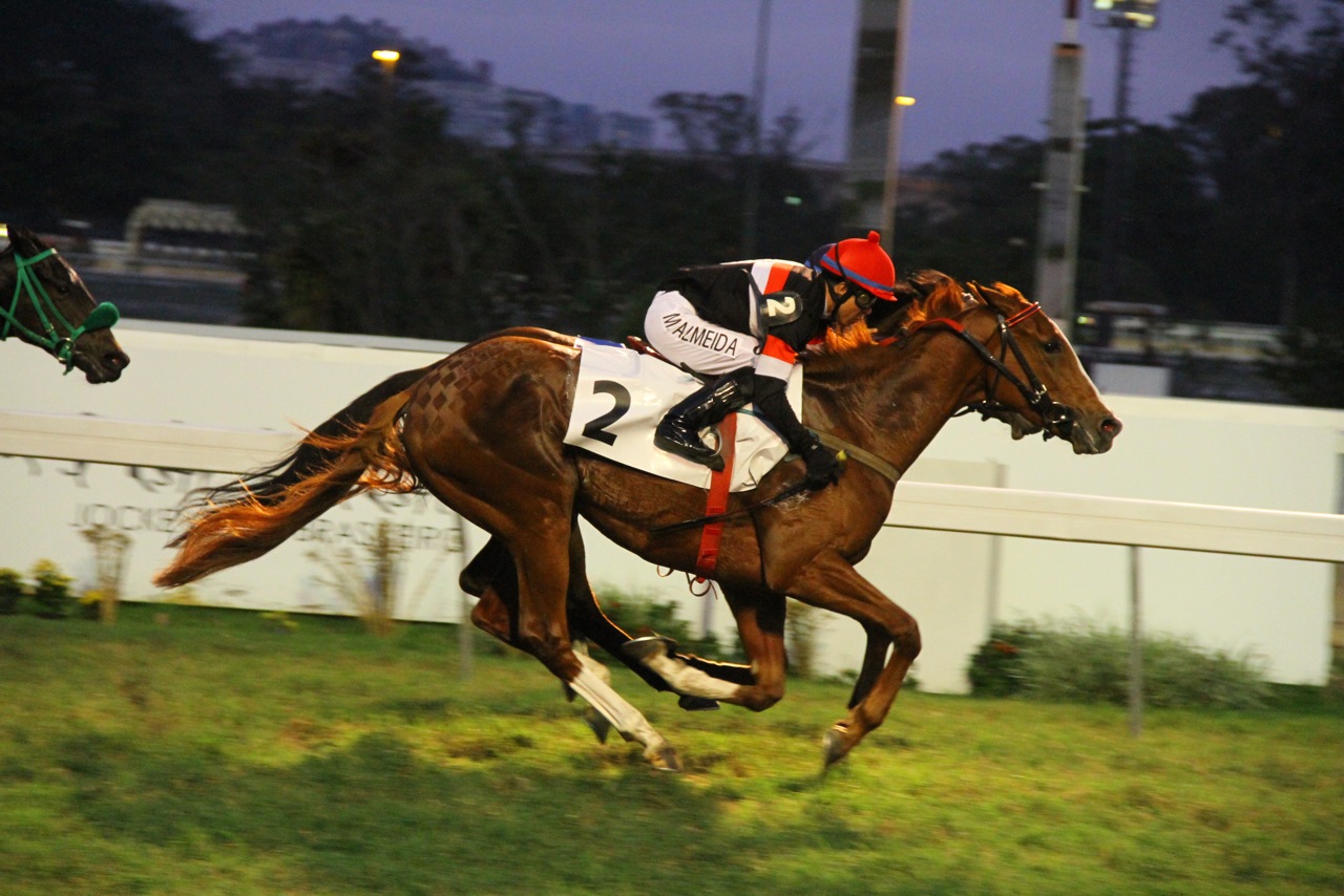 Estrella Rossa Chegada (7)