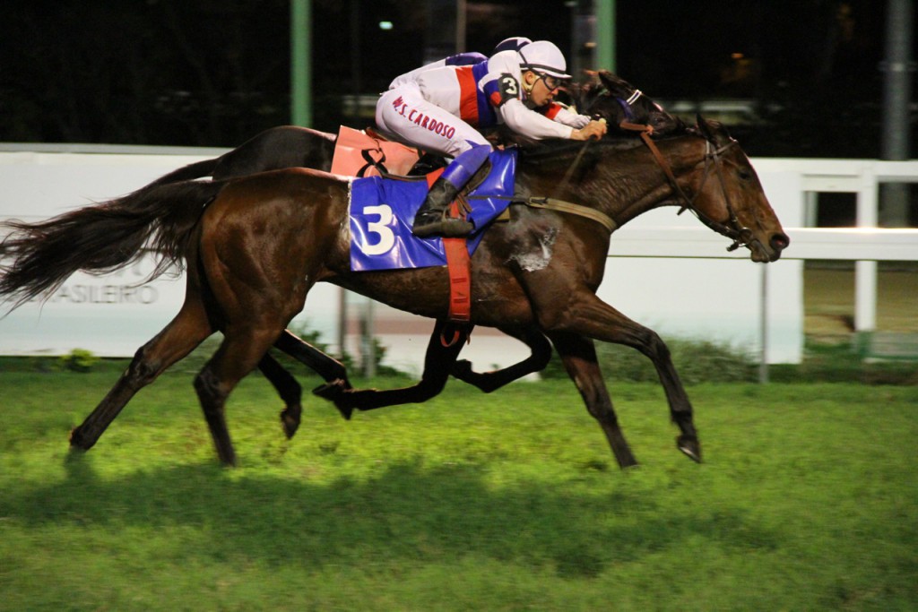 Lady Charlotte Chegada (5)