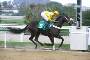 Yankee Bullet Chegada (2)