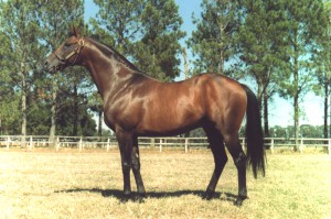 public purse