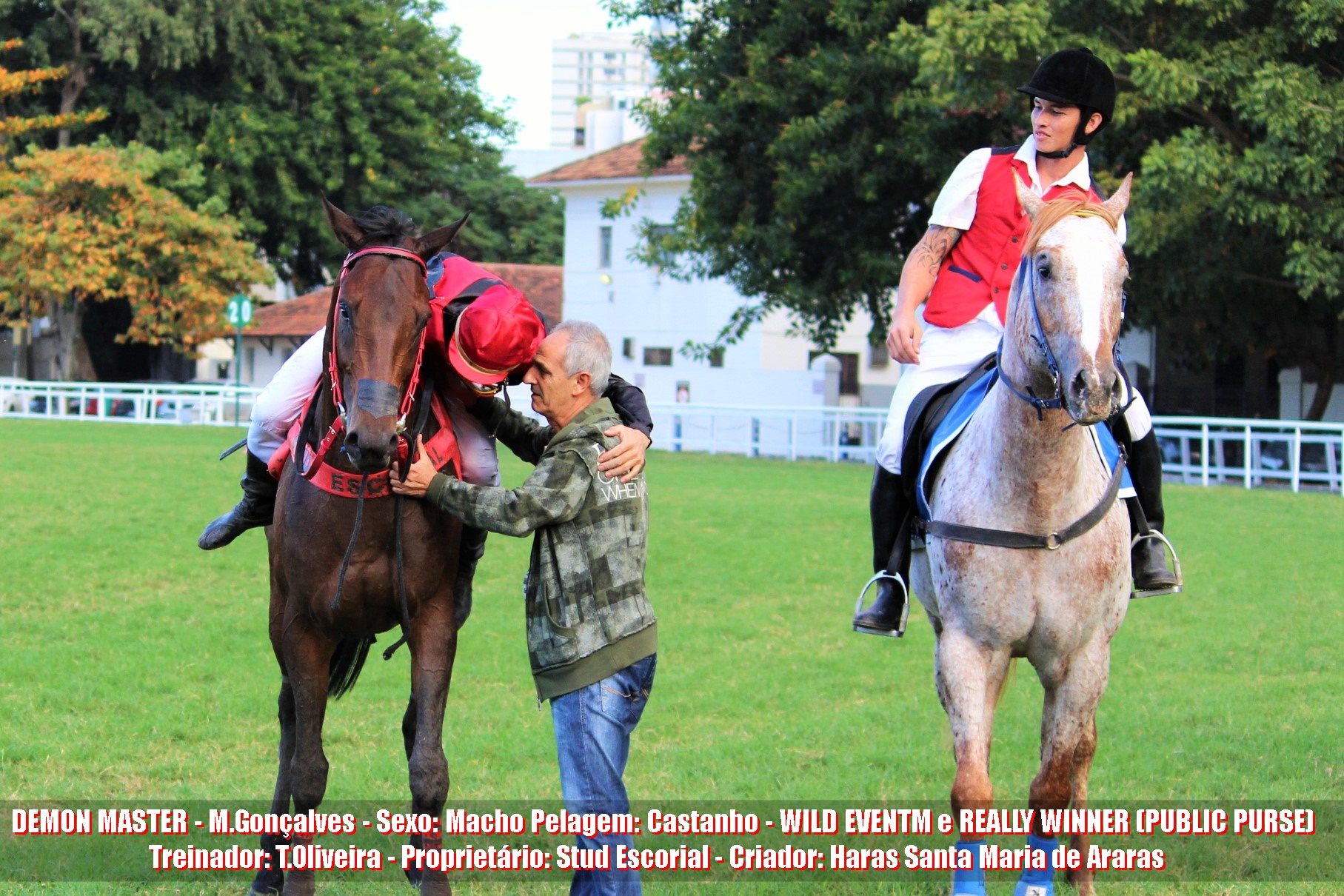 Demonmaster (7)