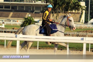matinais (12)