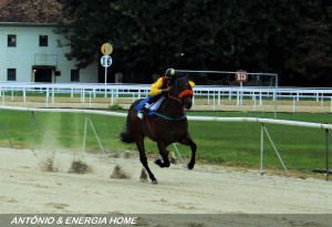 matinais21 (23)
