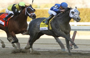 Horse Racing 2015: Wood Memorial Day APR 04