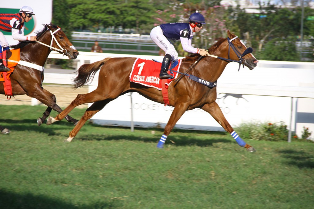 Consul American Chegada (4)