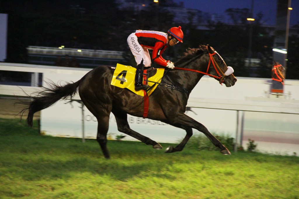 Emperor Roderic Chegada (4)