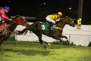 Ultra Olimpica Chegada 3