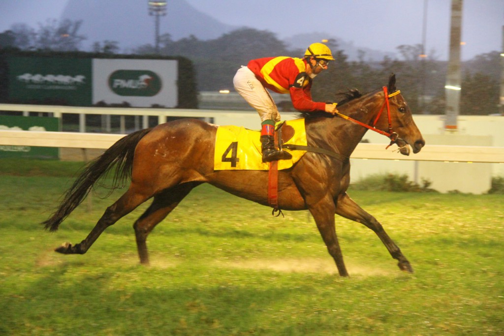 Golden Crown Chegada (3)
