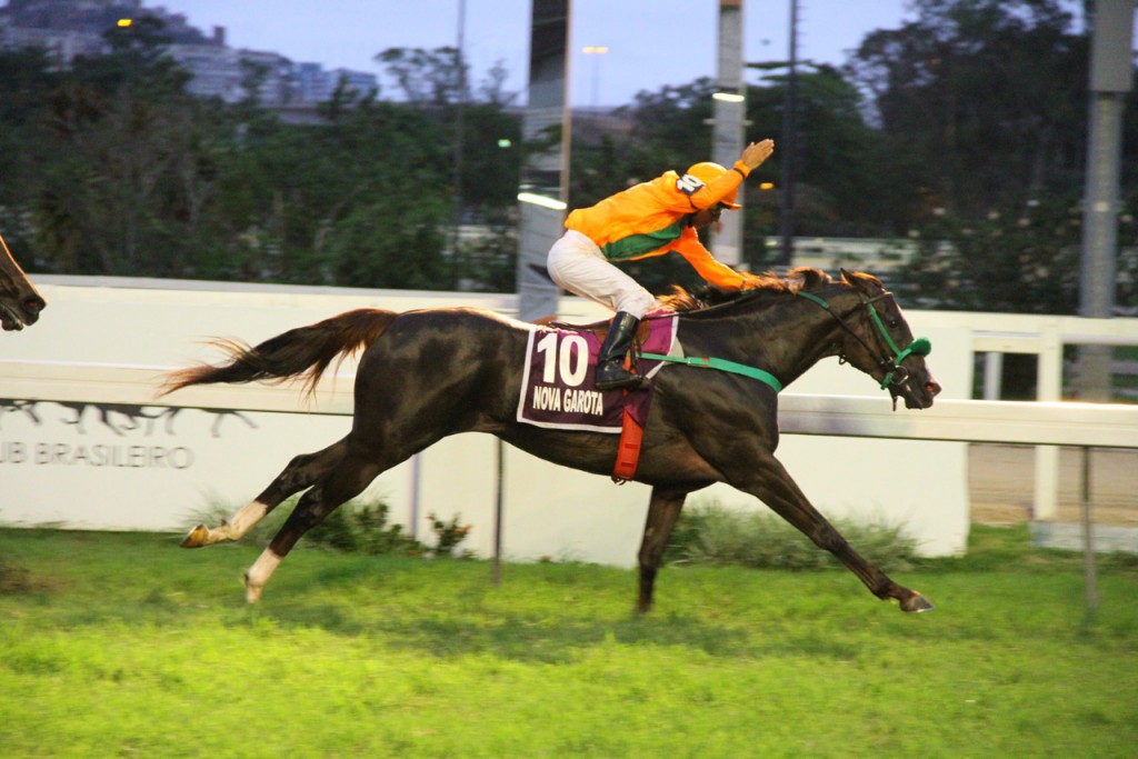 Nova Garota Chegada (4)