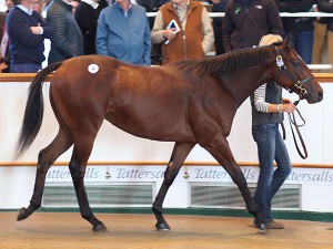 img_2016Lot39