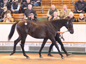 img_2016Lot427
