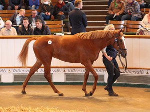img_2016Lot441