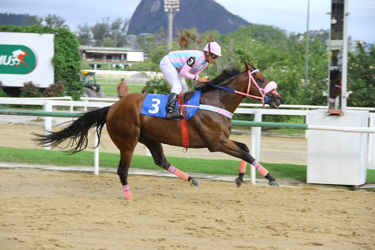 Chronnos Chegada (3) (1)