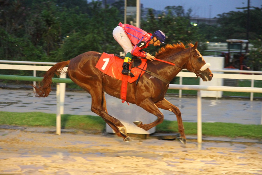 King David Chegada 3