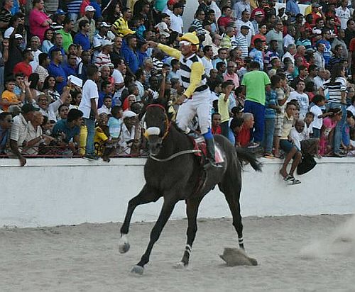 Capanegrapost