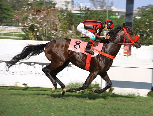 Edotto06