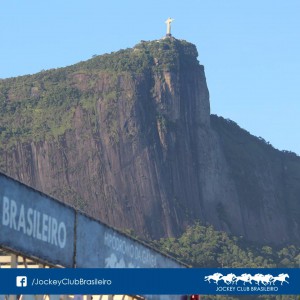 capas (19)