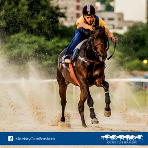 capas (37)