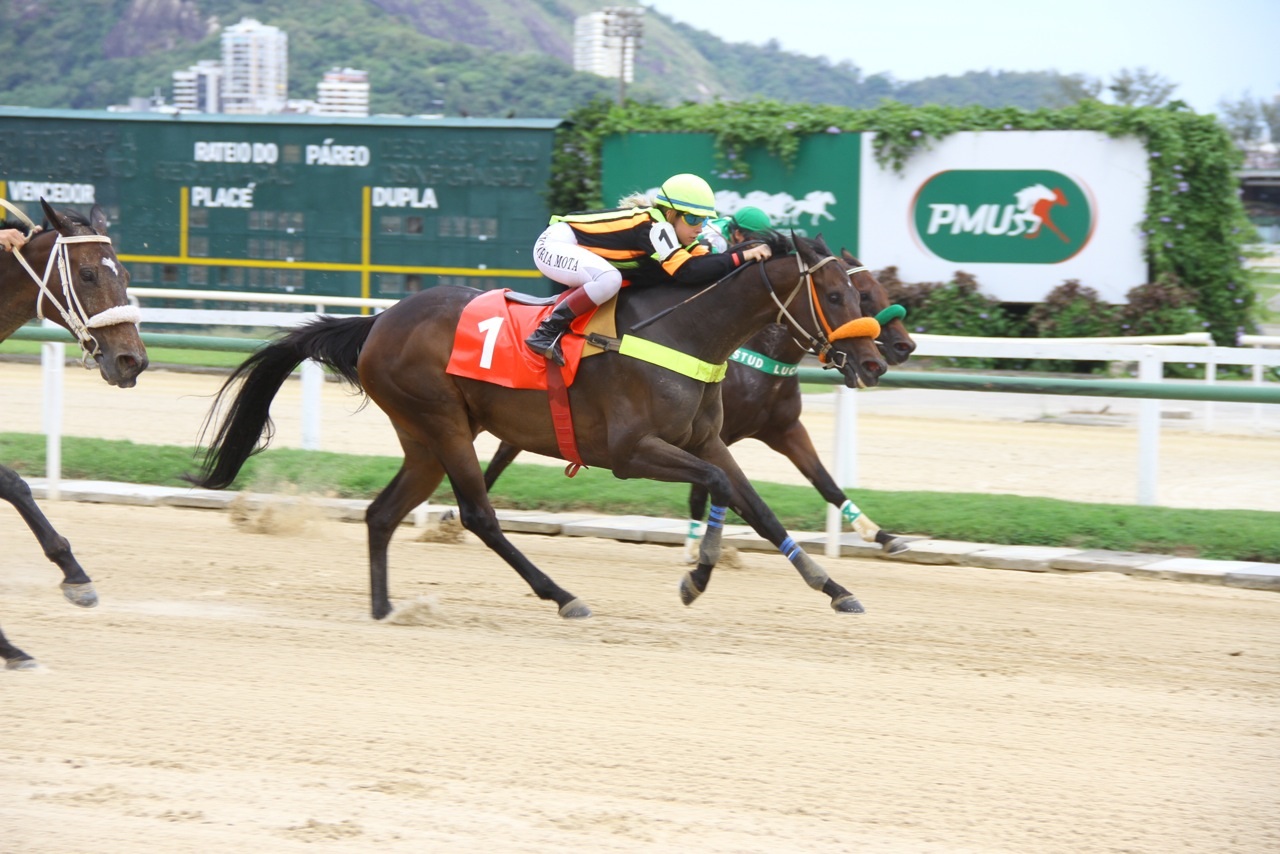 2001Marina Del Sol Chegada 2