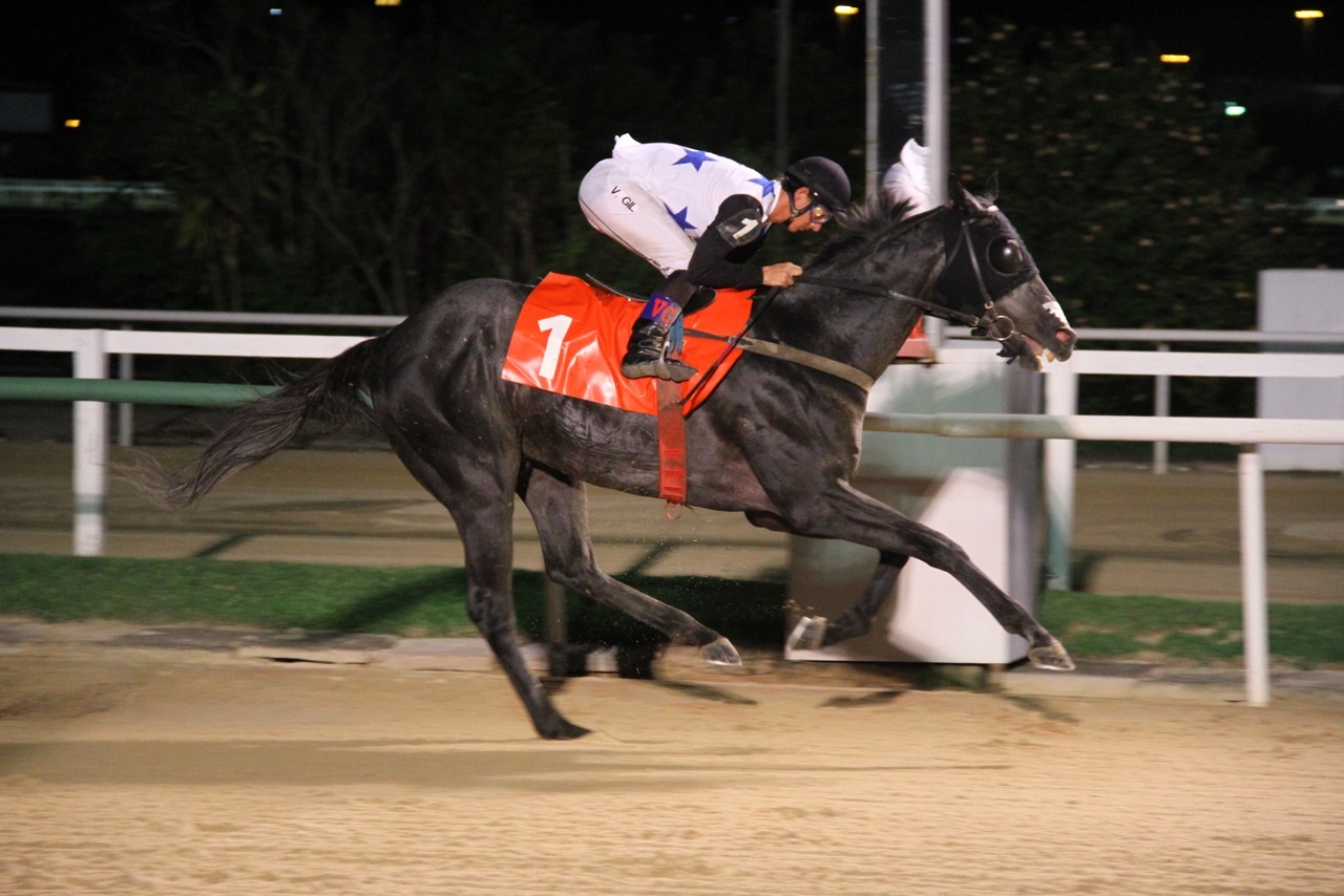 2001Sib Macho Uno Chegada 3