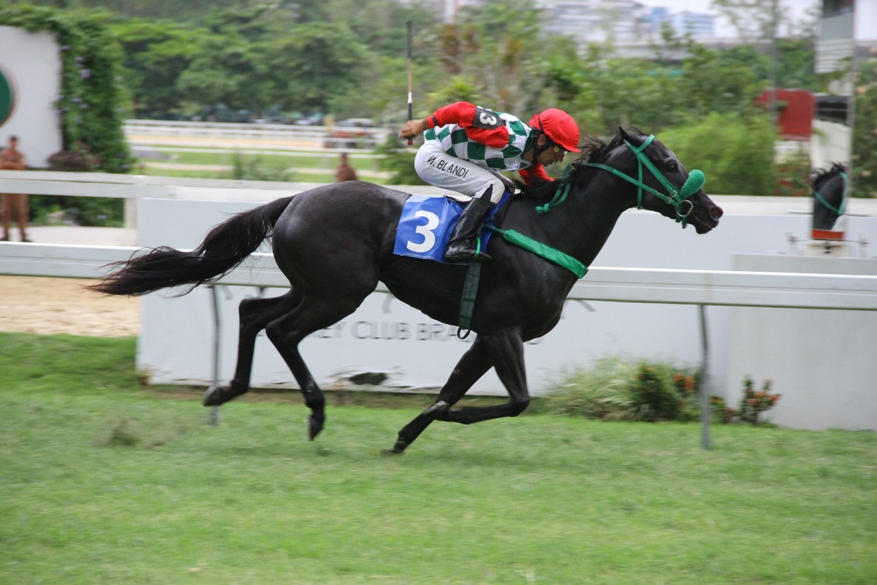 2001Sou Giovanna Chegada 3