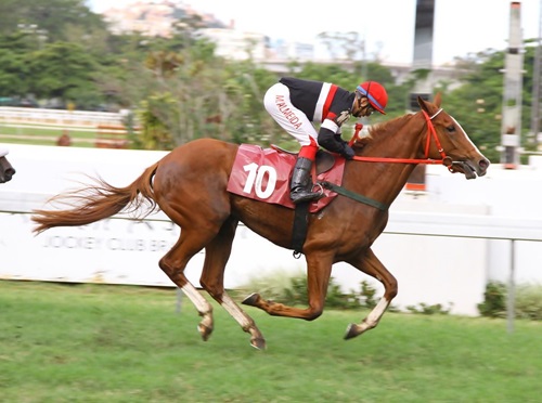 Estrella Rossa Chegada