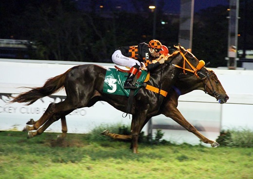 Lightmaker Chegada