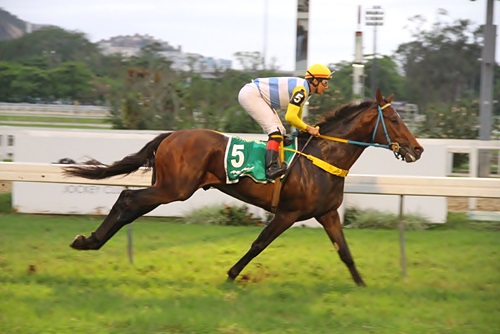Voador Magee Chegada