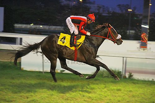 Emperor Roderic Chegada