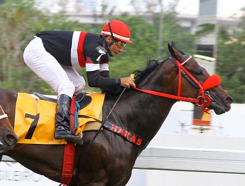 Emirates Sandpost