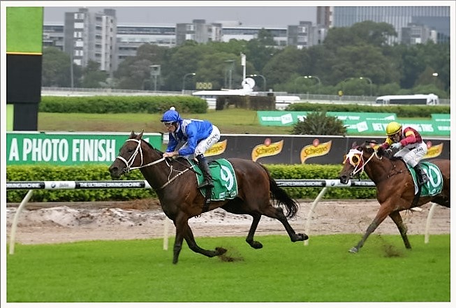 winx